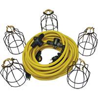 Guirlande &eacute;lectrique &agrave; DEL avec connecteur, 5 Lumi&egrave;res, 50' lo, Boîtier en M&eacute;tal M & M Nord Ouest Inc