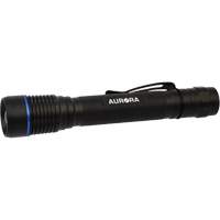 Lampe de poche IPX7, DEL, 250 lumens, Piles AA M & M Nord Ouest Inc